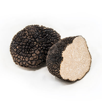 Truffe d’Été (Tuber Aestivum)