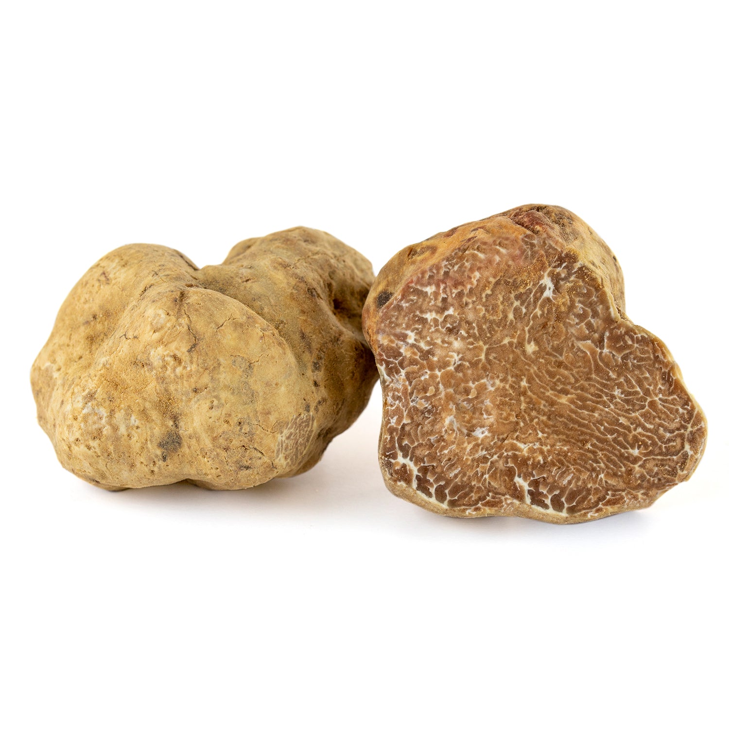 Truffe Blanche - Tuber Magnatum