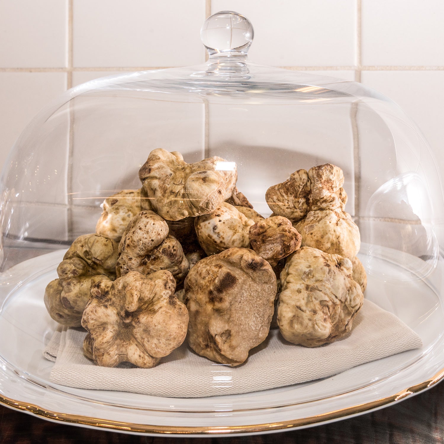 Truffe Blanche - Tuber Magnatum